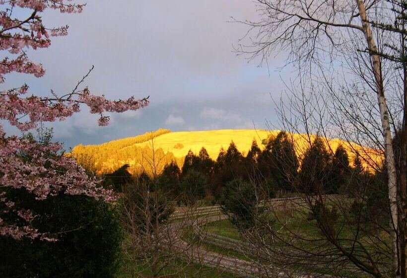 酒店 Whakaipo Lodge