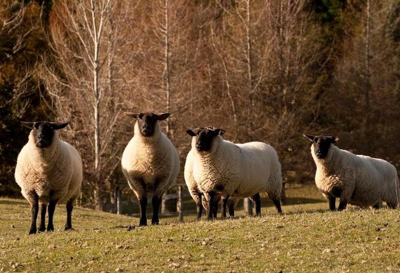 酒店 Whakaipo Lodge