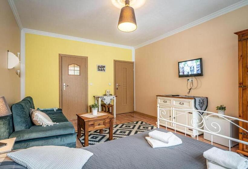 Отель Willa Fryzowiczówka