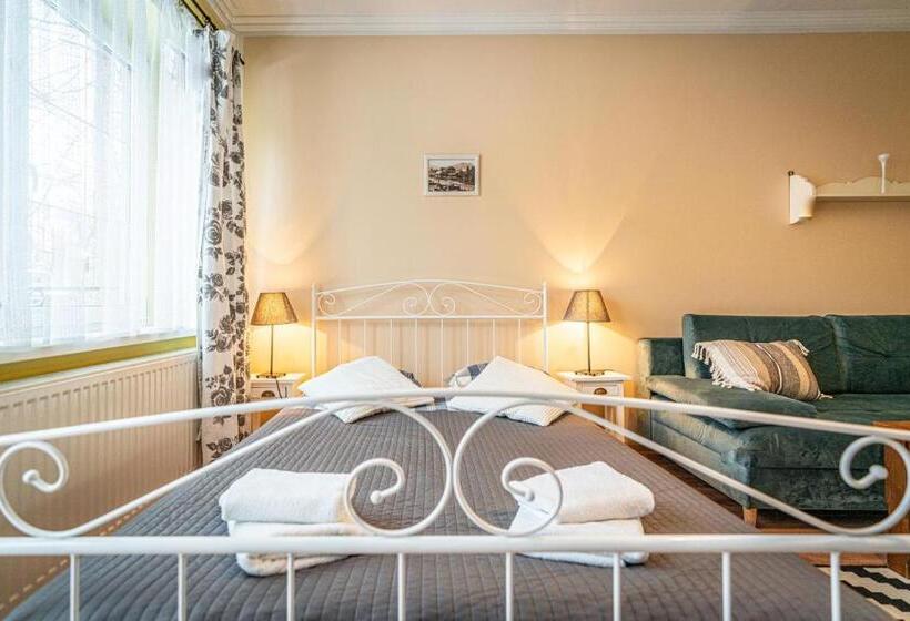 Отель Willa Fryzowiczówka