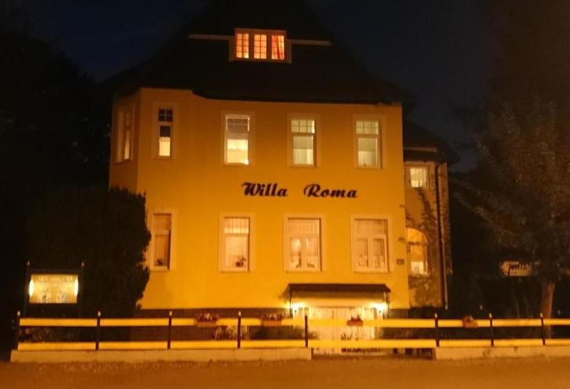 酒店 Willa Roma