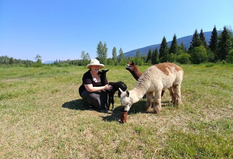 酒店 Wolfwood Guest Ranch