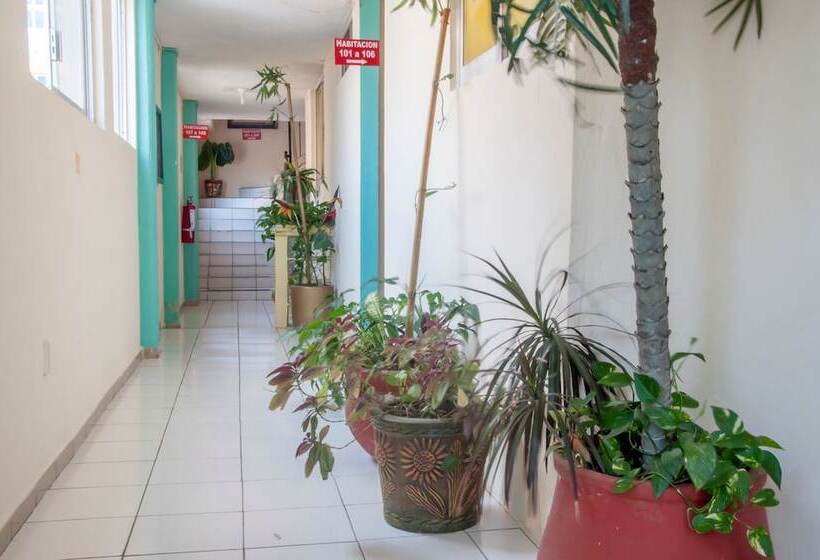 فندق Y Suites Continental