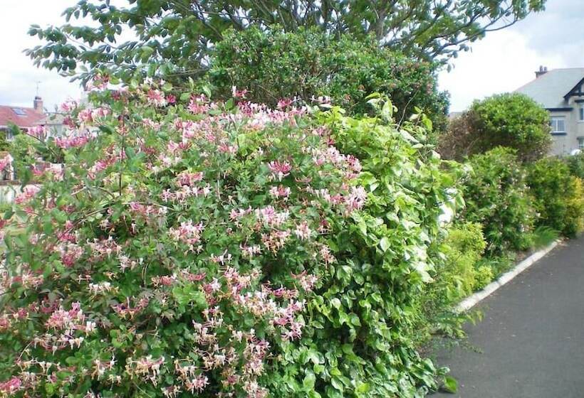 فندق Aaranmore Lodge Guest House