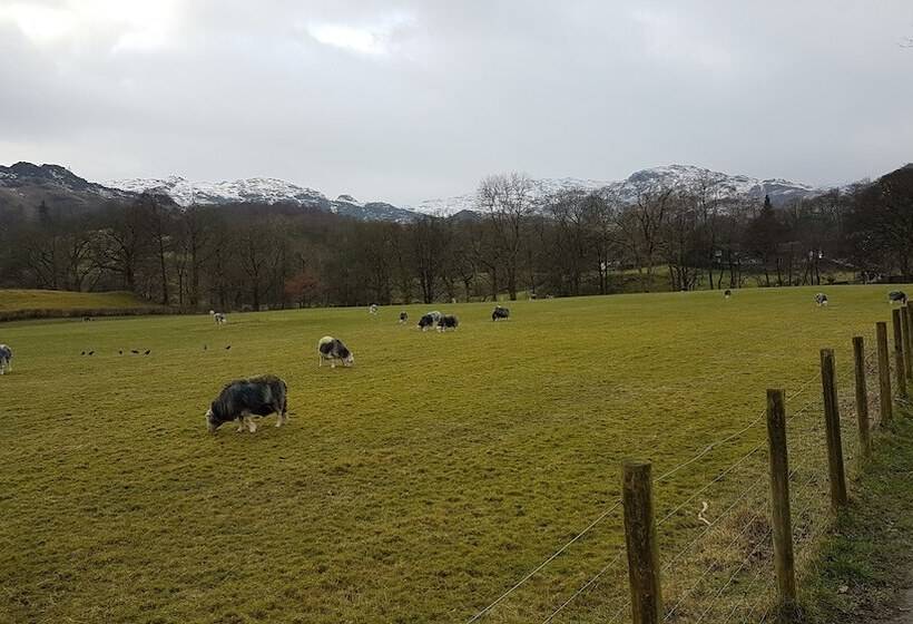 فندق Archway Guest House