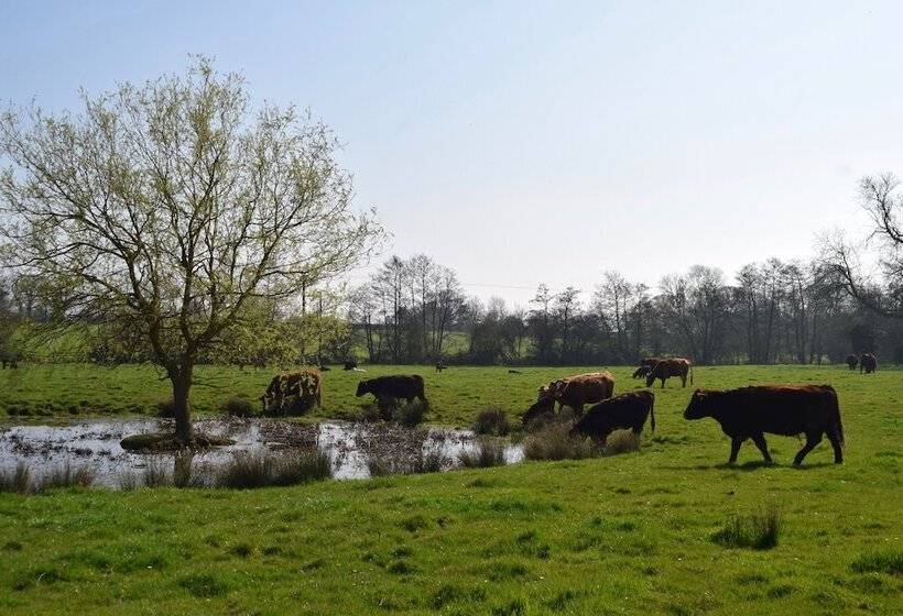 فندق At The Farmhouse Hunters Hall