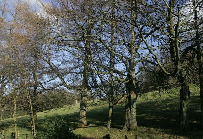 ホテル Blenheim Lodge