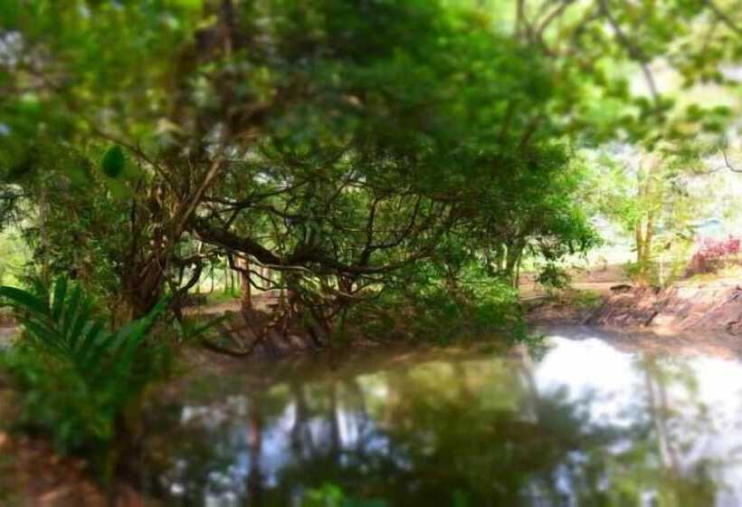 Отель Book Jungle