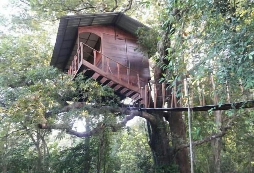 Отель Book Jungle