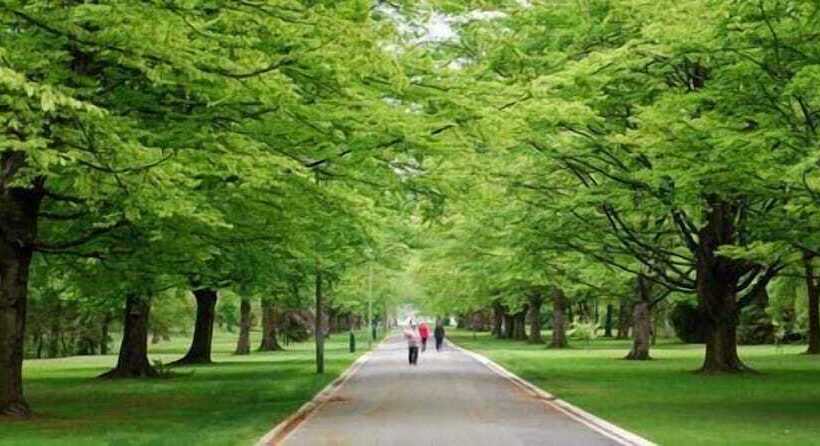 هتل Central City Camping Park