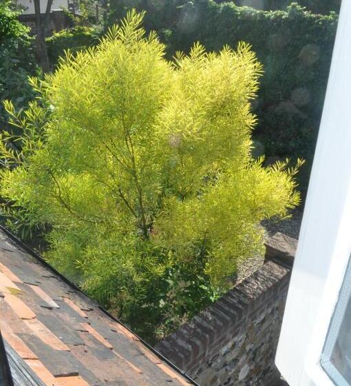 בית מלון כפרי Chequer Cottage