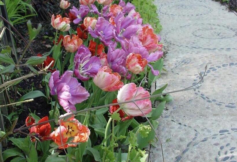 בית מלון כפרי Chequer Cottage