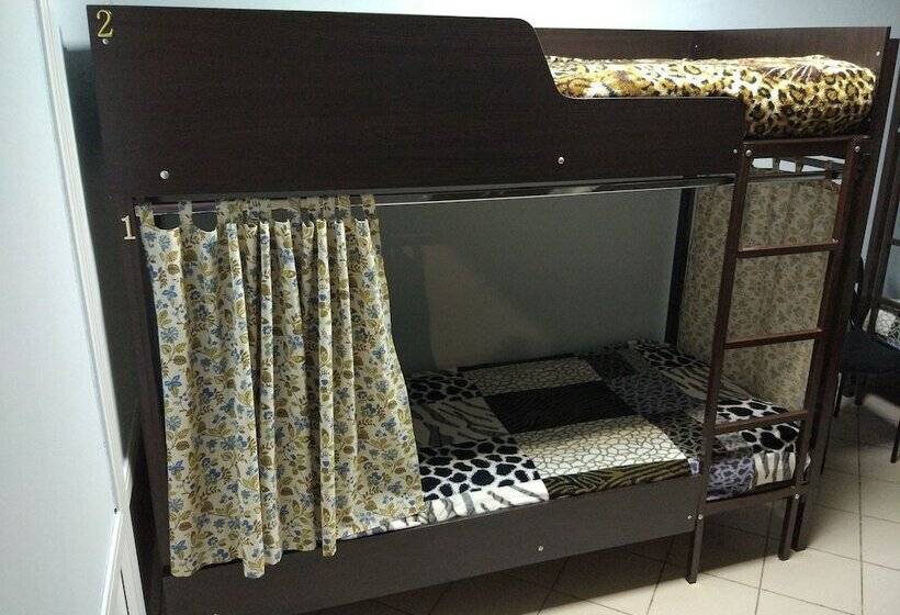 Отель Daily Hostel