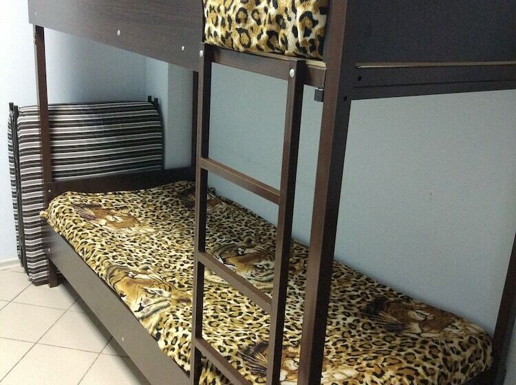 Отель Daily Hostel