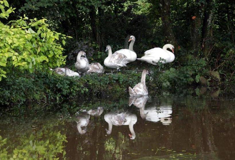 בית מלון כפרי Fferm Y Felin