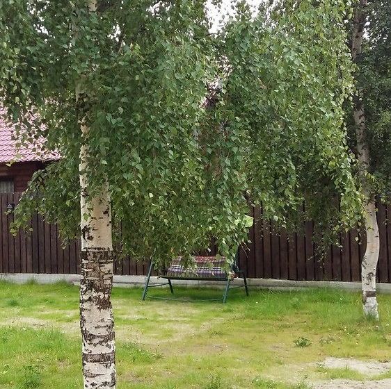 فندق Guest House On Muezerskaya