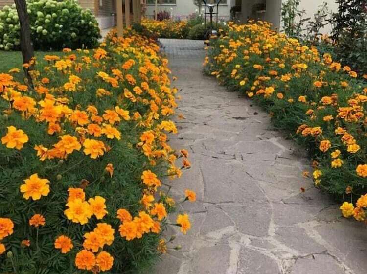 호텔 Guesthouse On Kyzyl Armeyskaya