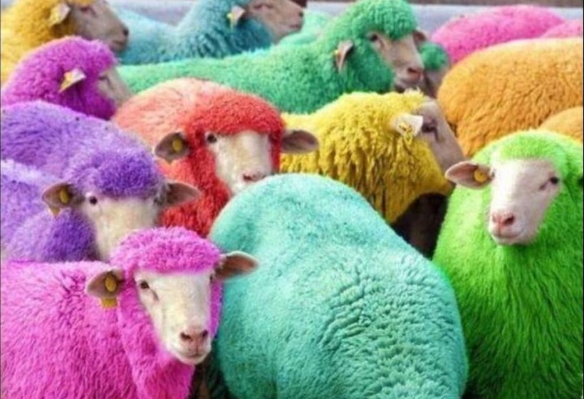 Отель Highfield Guesthouse