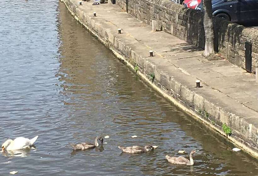 Отель Highfield Guesthouse