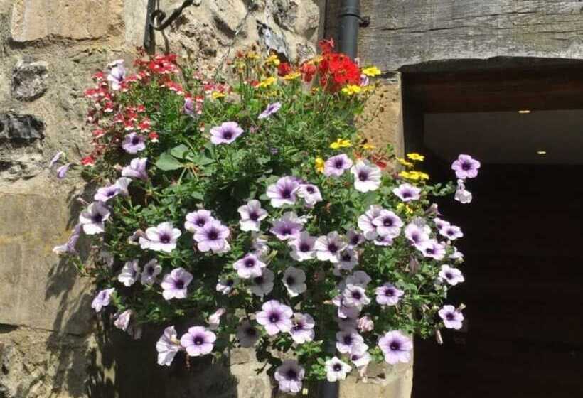 Отель Highfield Guesthouse