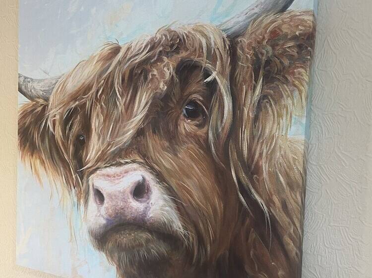 Отель Highfield Guesthouse