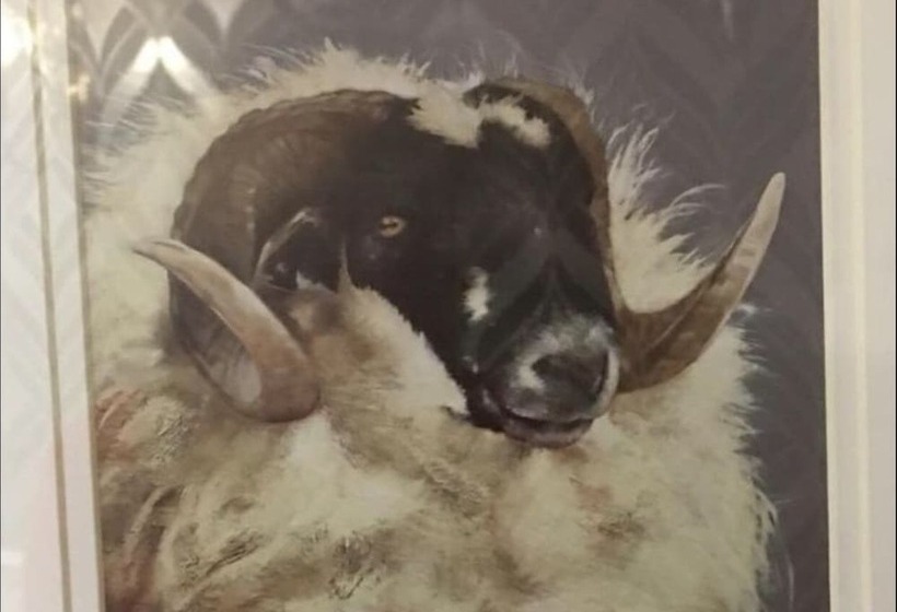 Отель Highfield Guesthouse