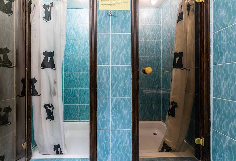 酒店 Hostel Pushkin