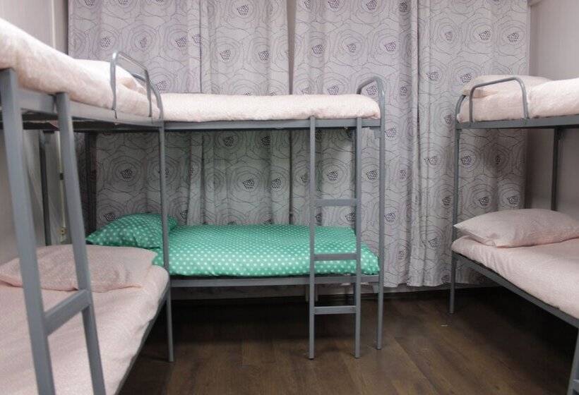 בית מלון כפרי Karlov Most Hostel