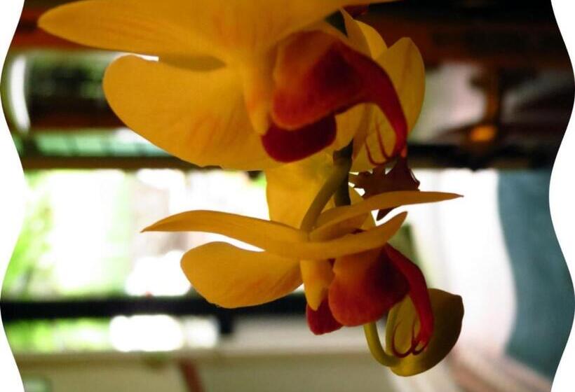 호텔 Laurel Cottage