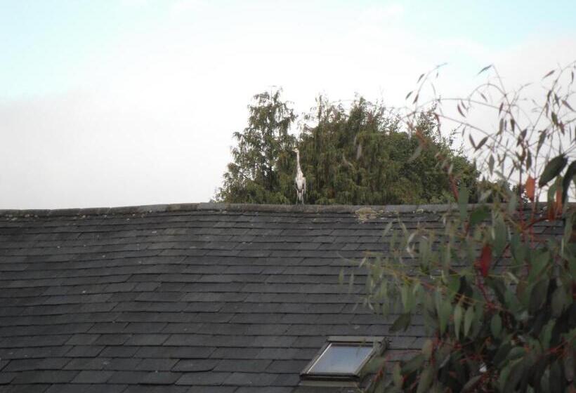 호텔 Laurel Cottage