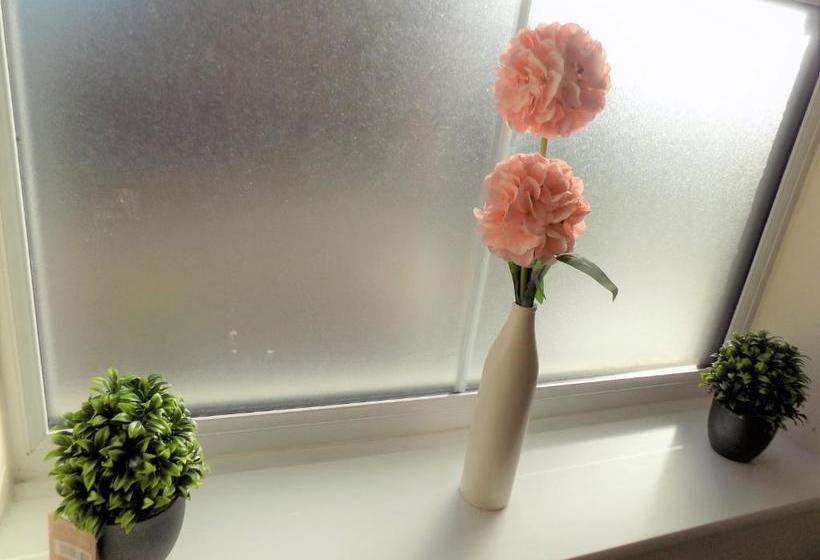 호텔 Le Lotus House