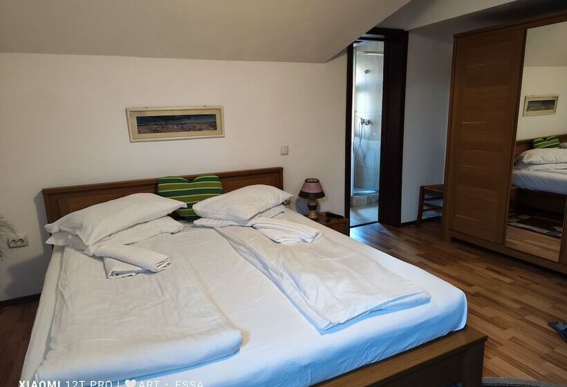 호텔 Pensiunea Buon Gusto Sibiu Motorcyle Friendly,city Center