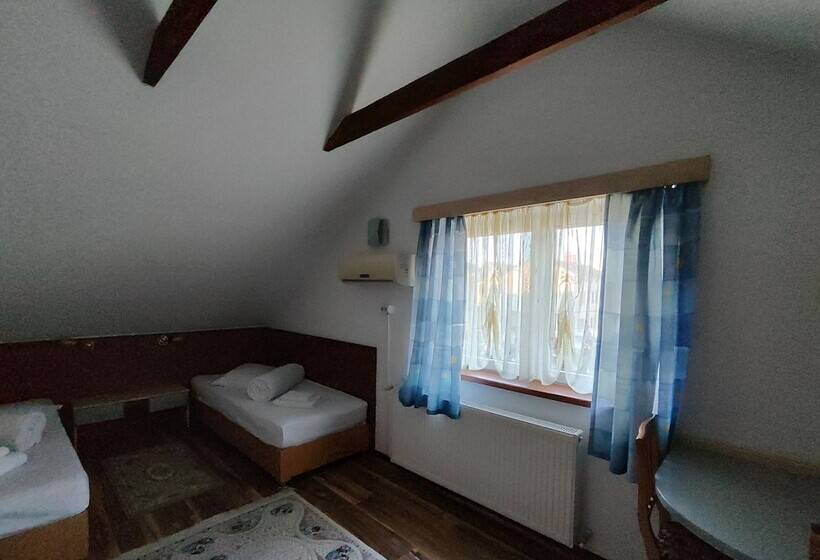 호텔 Pensiunea Buon Gusto Sibiu Motorcyle Friendly,city Center