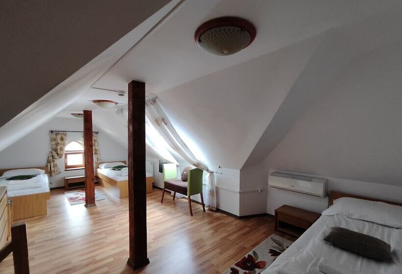 호텔 Pensiunea Buon Gusto Sibiu Motorcyle Friendly,city Center