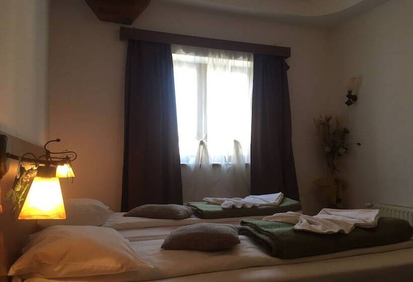 호텔 Pensiunea Buon Gusto Sibiu Motorcyle Friendly,city Center