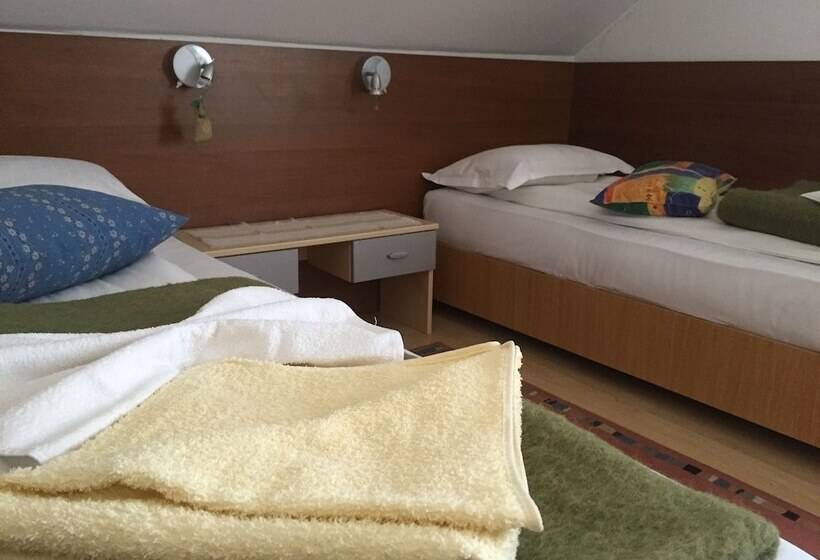 호텔 Pensiunea Buon Gusto Sibiu Motorcyle Friendly,city Center