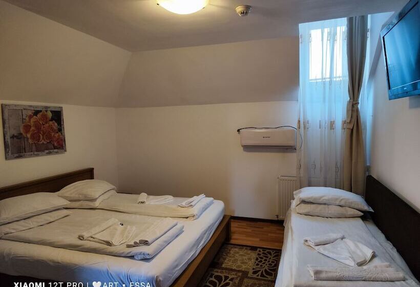 호텔 Pensiunea Buon Gusto Sibiu Motorcyle Friendly,city Center