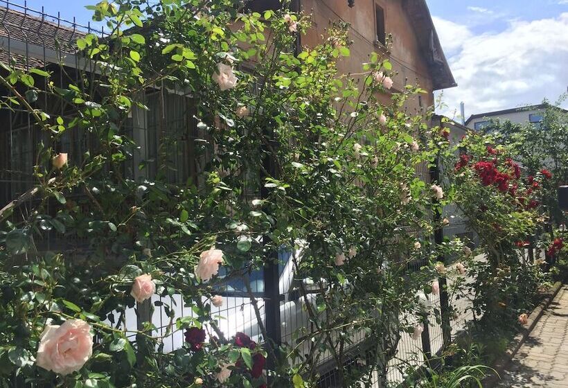 호텔 Pensiunea Buon Gusto Sibiu Motorcyle Friendly,city Center