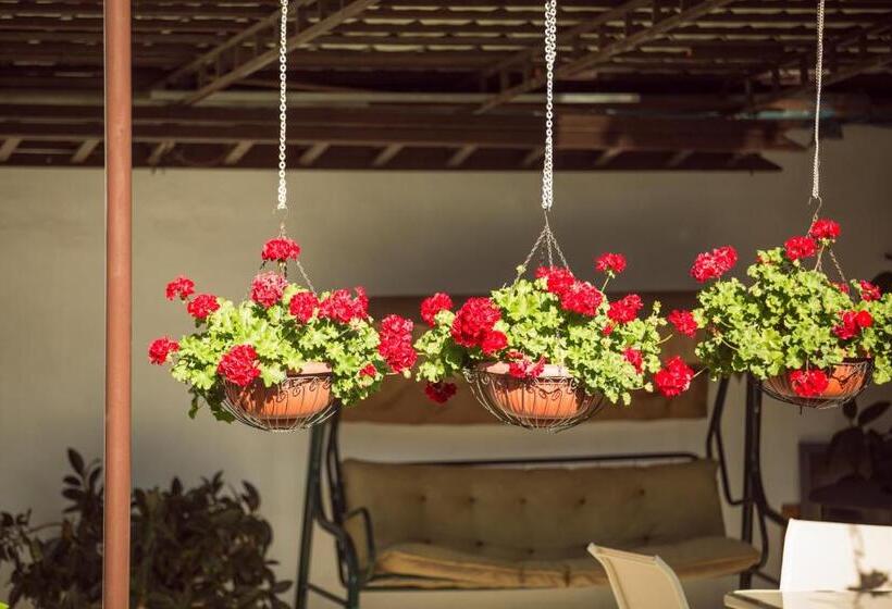 בית מלון כפרי Pensiunea Simar