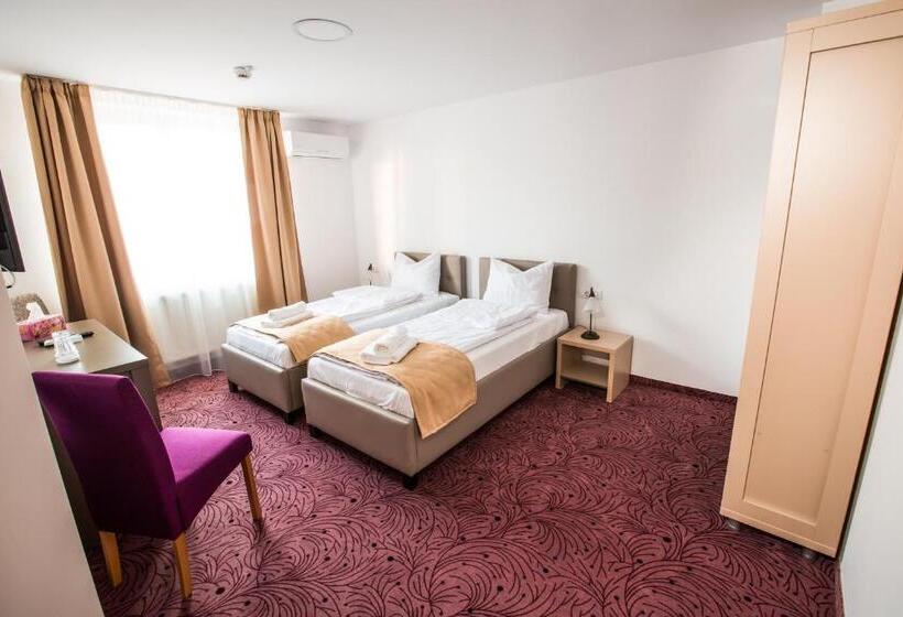 בית מלון כפרי Pensiunea Simar