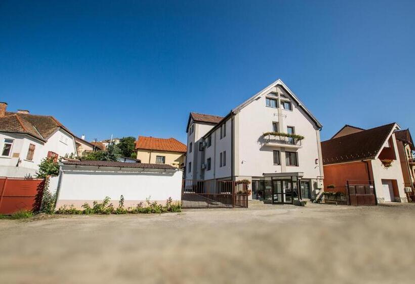 בית מלון כפרי Pensiunea Simar