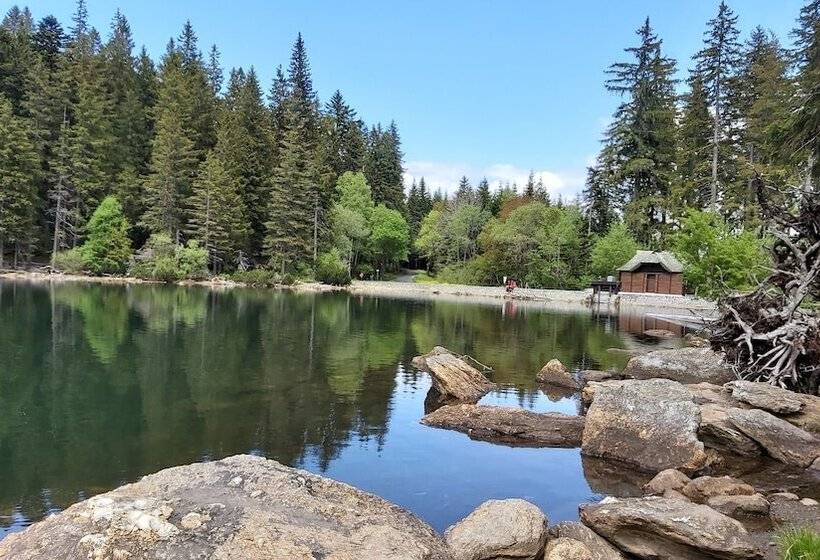 酒店 Penzion Diana