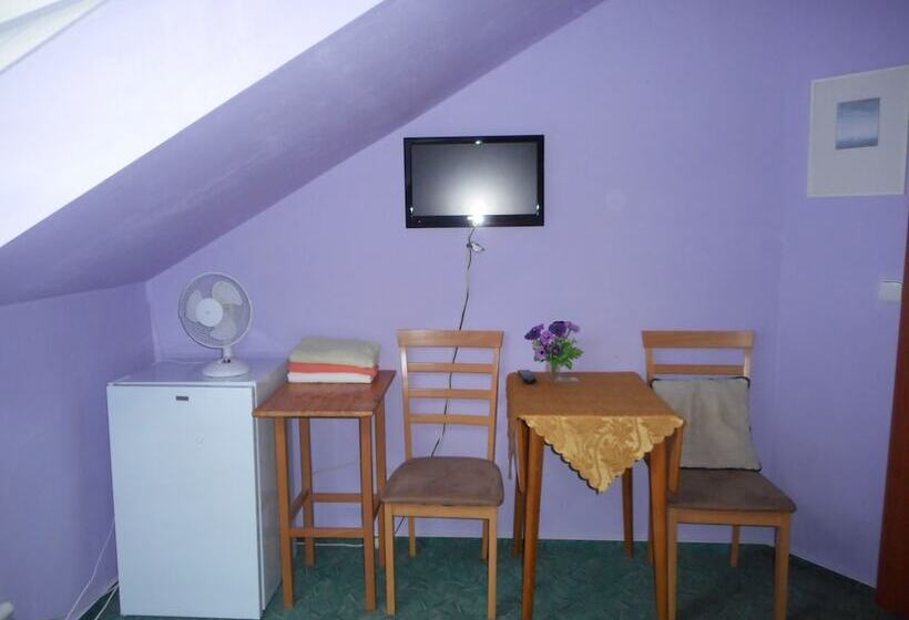 هتل Penzion U Lesa