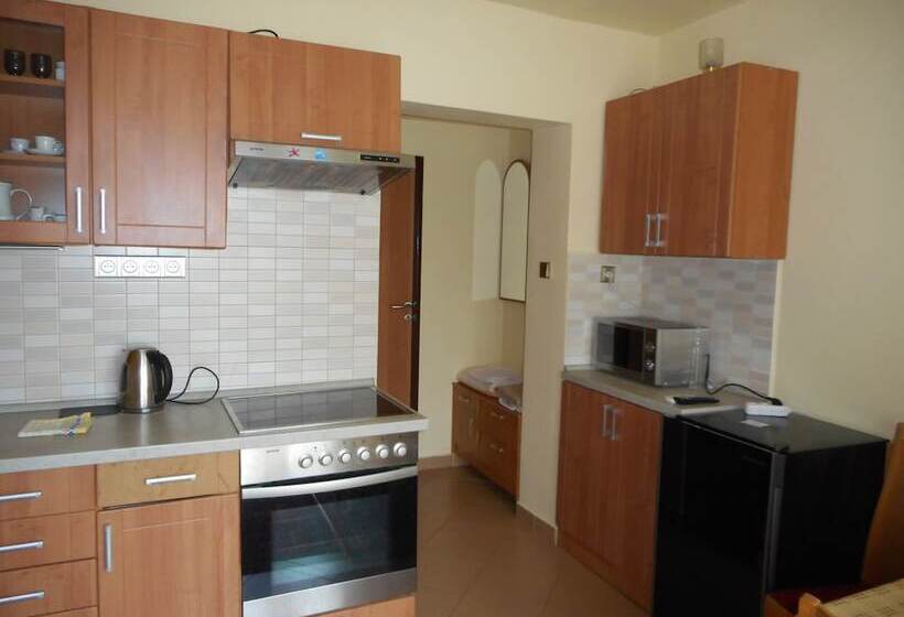 هتل Penzion U Lesa