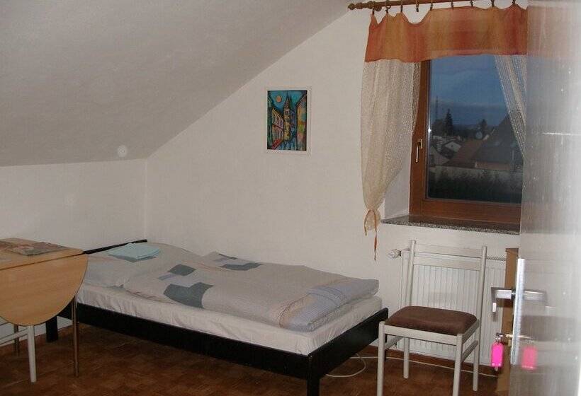 هتل Penzion U Lesa