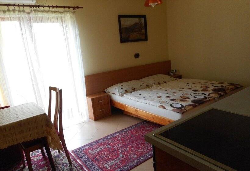 هتل Penzion U Lesa