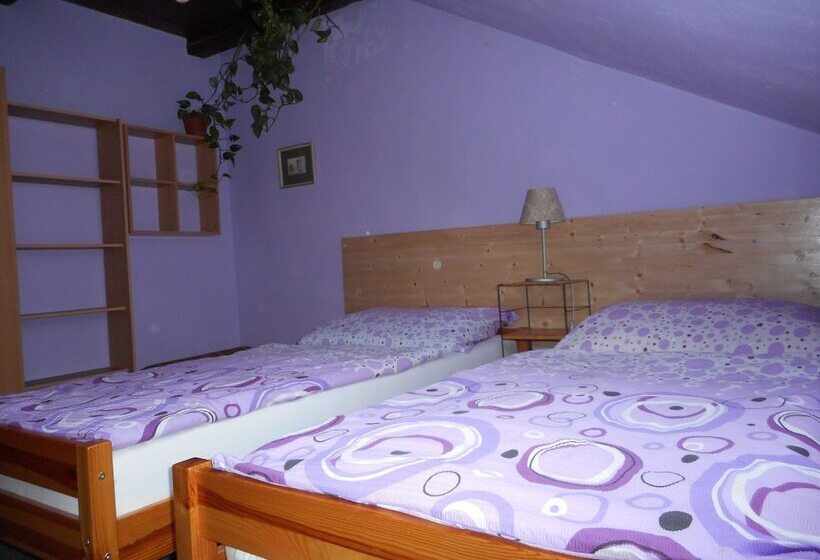 هتل Penzion U Lesa