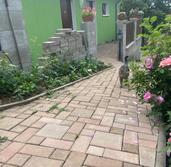 فندق Penzion U Pavla