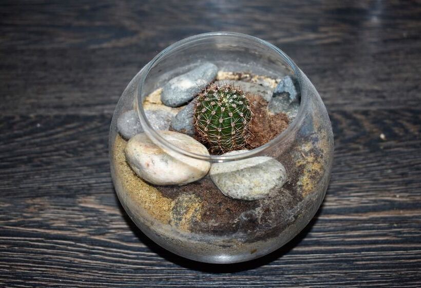 ホテル Reshetnikov Hostel