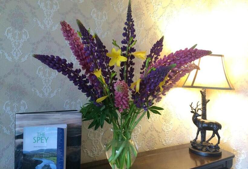 Отель Rossmor Bed & Breakfast